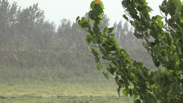 Storm
